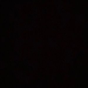 Meet your Posher, Scarlett